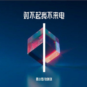 对不起我不来电 by 赛小罗, 张晓琪