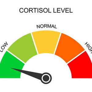 Low Cortisol Level