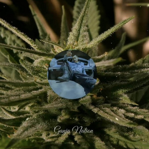 Ganja Nation