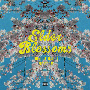 Elder Blossoms by Bishop Nehru