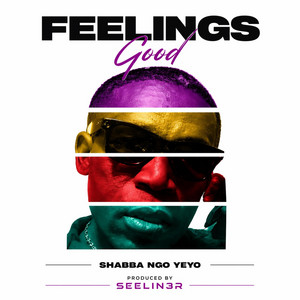 Feelings good by Shabba Ngo Yeyo