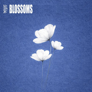 Blossoms by MALUS