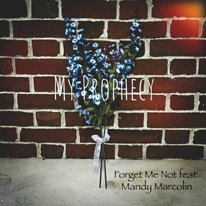 Forget Me Not