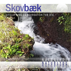 Skovbæk (Naturlyde Til Afslapning) by Afslapning og rekreation for dig