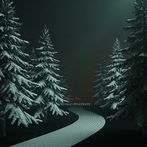 Snowy Snow by Santiago Penitente