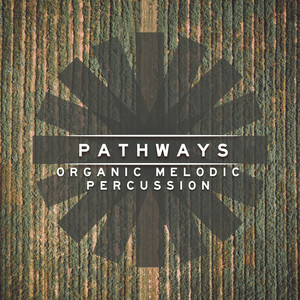 Pathways: Organic Melodic Percussion cover