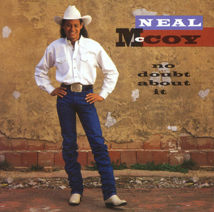 The City Put the Country Back in Me by Neal McCoy