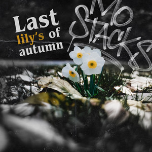 Last Lily's of Autumn by Mo Stacks