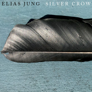 Silver Crow