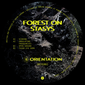 Undulating Frequencies by Forest On Stasys