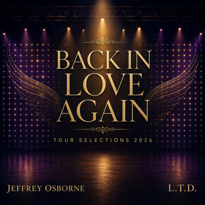 (Every Time I Turn Around) Back In Love Again by L.T.D.