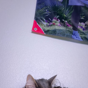 NotAnyMusician - Coke Gums