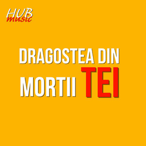Dragostea din mortii tei by MUSIC HUB