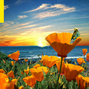 California Poppy 2 album