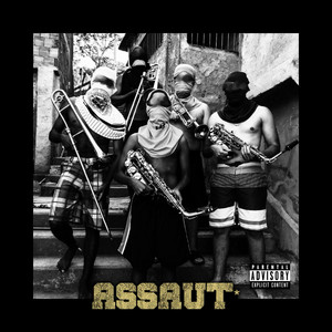 ASSAUT by THE_LM