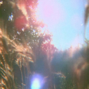 glimmer by little light