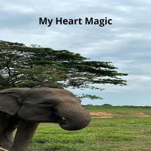 Ginan Indi - My Heart Magic