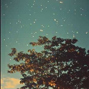 A Sky Full of Stars x Stargazing by vunes