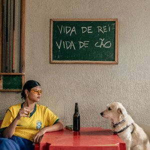 Vida de Rei, Vida de Cão by Amanda Magalhães