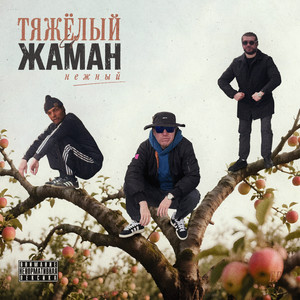 Полуправда by Тяжелый, Zhaman