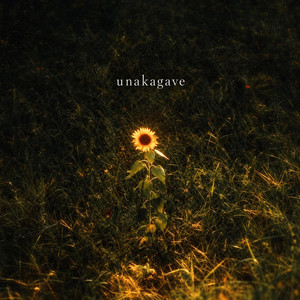 unakagave by Rising Spark, Vishal