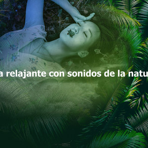 Ecos Tranquilos Fáciles