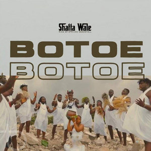Botoe by Shatta Wale