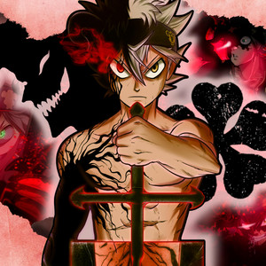 MS Fury - Determination