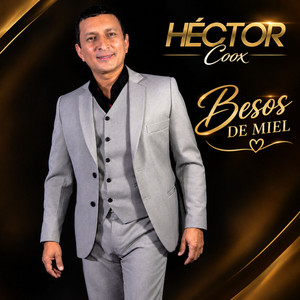 Borracho Y Perdido by Héctor Coox