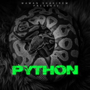 Python