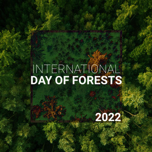 International Day of Forests 2022 (with Relaxing Sounds from the Woods) album