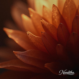 Afterhours Brass by Neralitha
