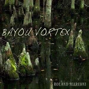 Bayou Vortex by Roland Marconi