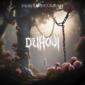 Duhovi