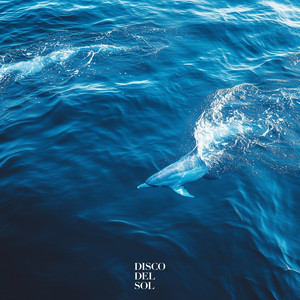 Dolphin by Citylux