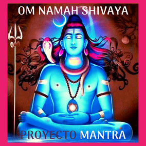 Om Namah Shivaya