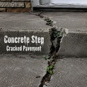 Cracked Pavement by Concrete Step