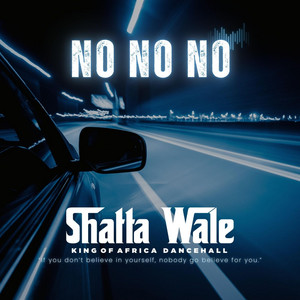 Shatta Wale - No No No