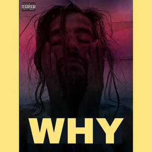 Portada de WHY