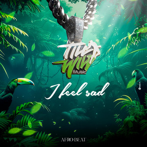 I feel sad by till wild live