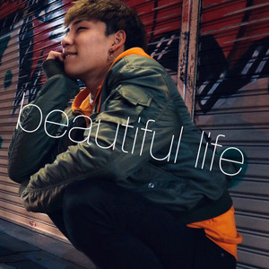 beautiful life by 虎鷹