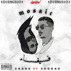Mosaic by Shade, Skorap