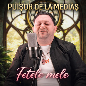 Puisor de la Medias - Fetele mele