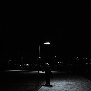 lost year by abella bronte