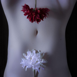 Samsara Sex - Single by Dofhei Project | Spotify