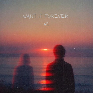 Want it Forever by Ae