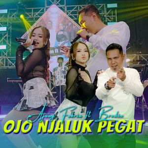 Ajeng Febria - Ojo Njaluk Pegat (feat. Brodin)