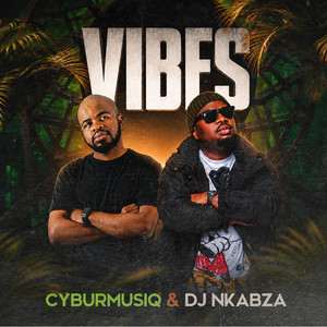 Vibes by Cyburmusiq, DJ Nkabza