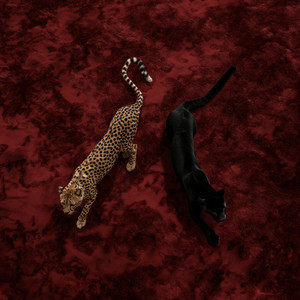 hot animal by kwasi kao