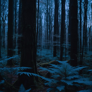 ϯtimelapse - 10:30 Am